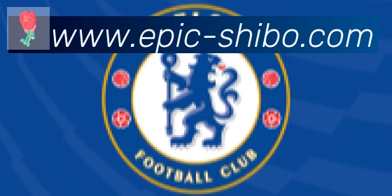 世博体育官网合作伙伴